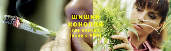 гидропоника Алзамай