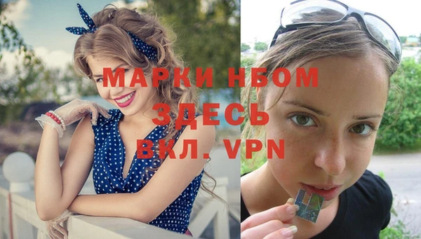 дурь Алексин