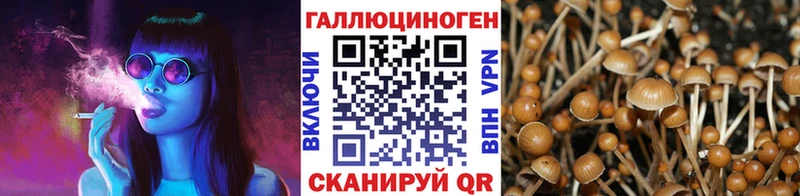 Псилоцибиновые грибы прущие грибы кракен Томск