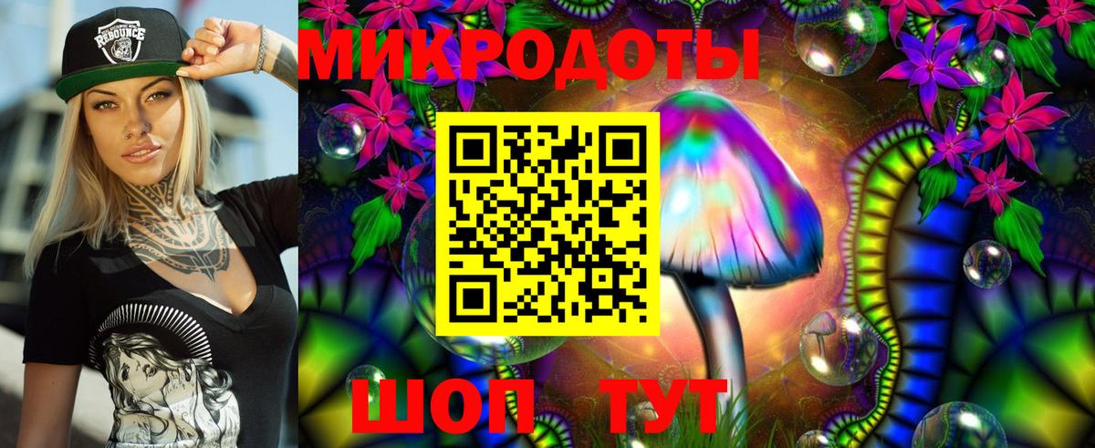 Томск  где купить наркоту  Вход с VPN  Псилоцибиновые грибы Psilocybine cubensis 